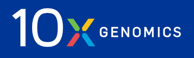 10XG_Logo.png